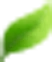 Banner Images