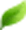 Banner Images