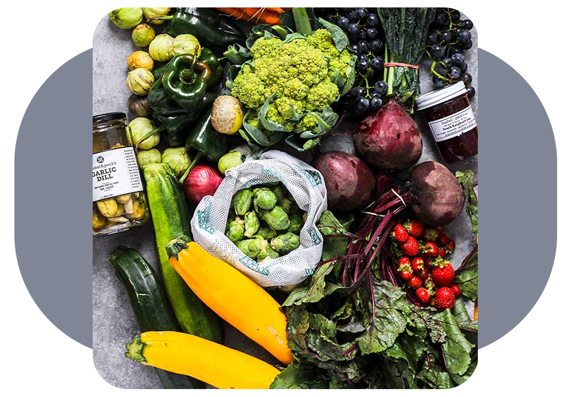 Sustainable Lifestyle